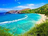  Oahu Tours